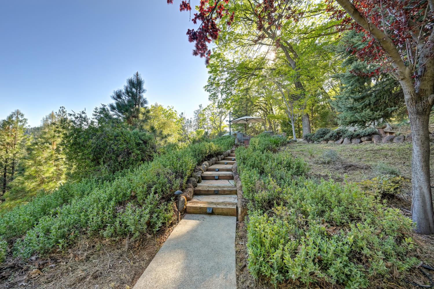 20312 Wolf Creek Road Grass Valley, CA 95949 - Photo 32 of 58