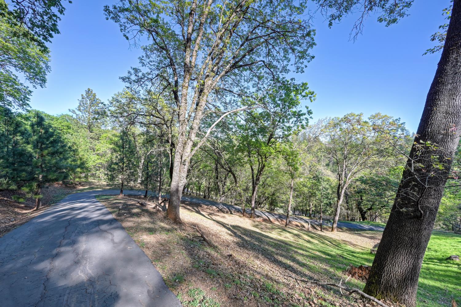 20312 Wolf Creek Road Grass Valley, CA 95949 - Photo 38 of 58