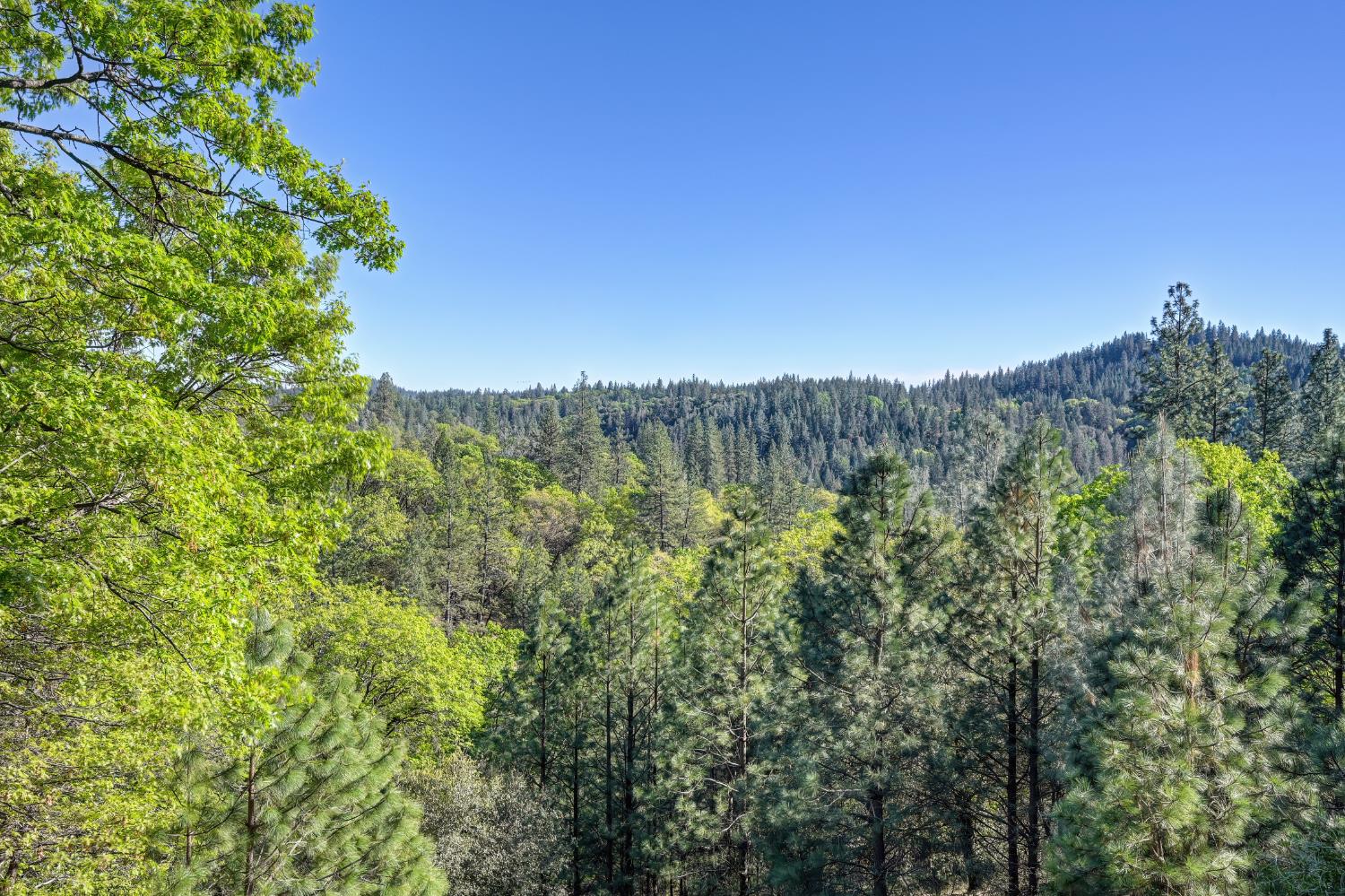20312 Wolf Creek Road Grass Valley, CA 95949 - Photo 41 of 58