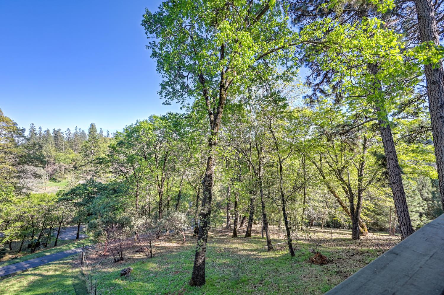 20312 Wolf Creek Road Grass Valley, CA 95949 - Photo 42 of 58