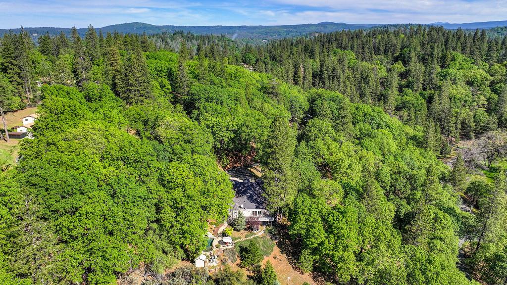 20312 Wolf Creek Road Grass Valley, CA 95949 - Photo 56 of 58