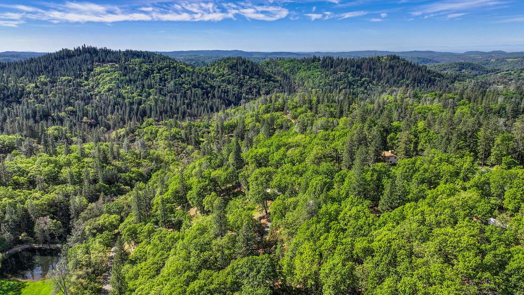 20312 Wolf Creek Road Grass Valley, CA 95949 - Photo 57 of 58