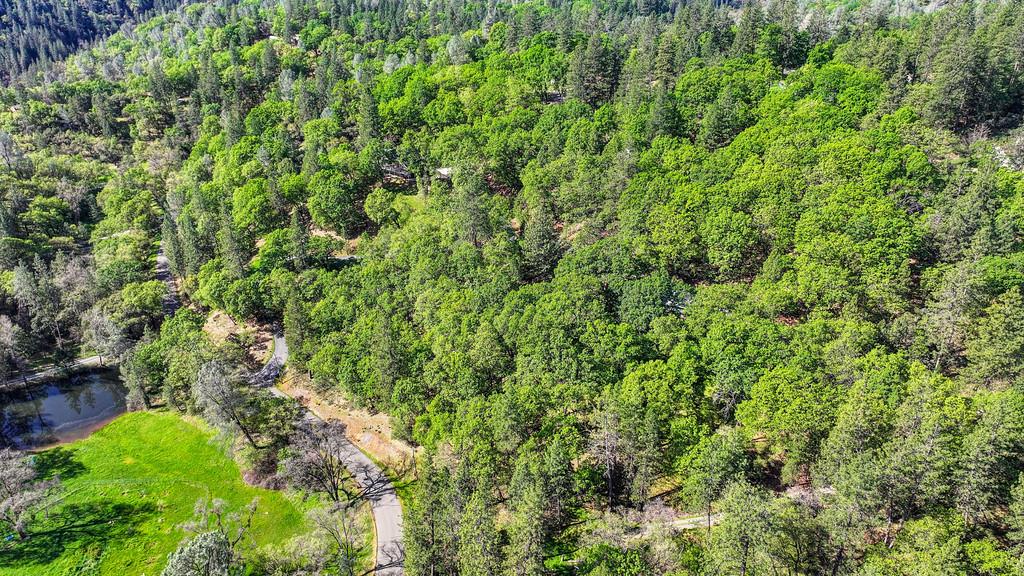 20312 Wolf Creek Road Grass Valley, CA 95949 - Photo 58 of 58