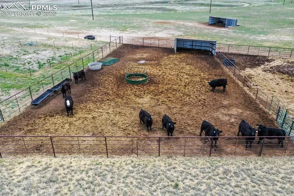 a view of a lake with a yard