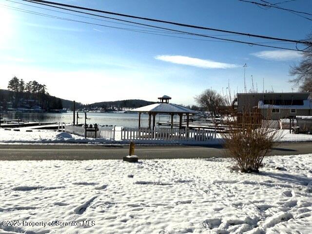 1262 Lake Road Factoryville, PA 18419 - Photo 6 of 16 lake view