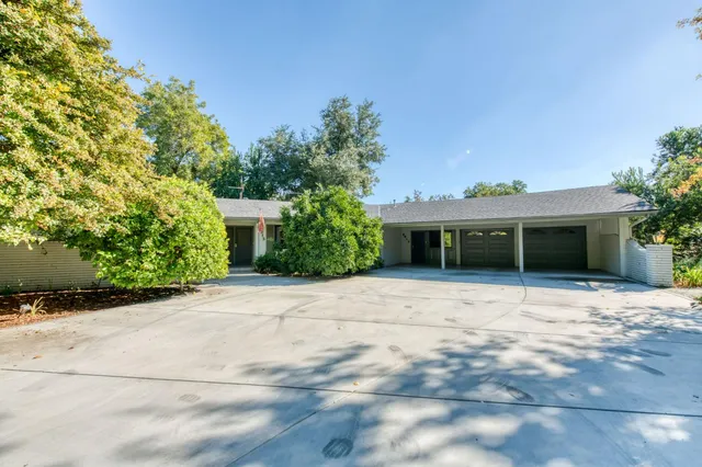 a view of a backyard with plants
