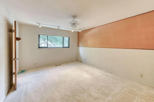 a view of a garden with plants