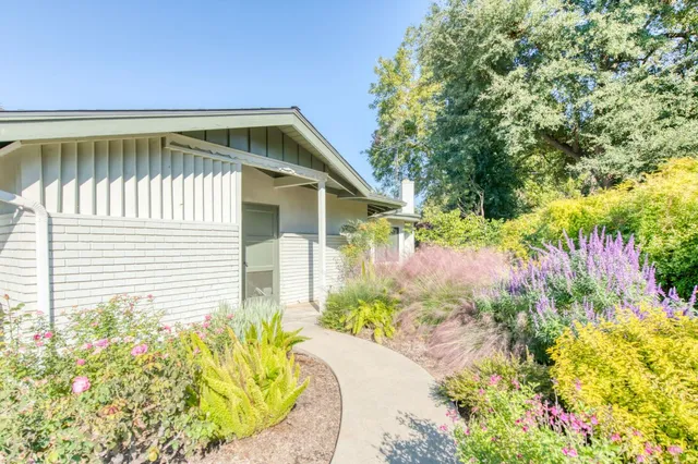 a view of a yard with plants and tree
