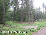 Lot 28 Beutertown Road Liberty, PA 16930 - Photo 8 of 8 128178-01
