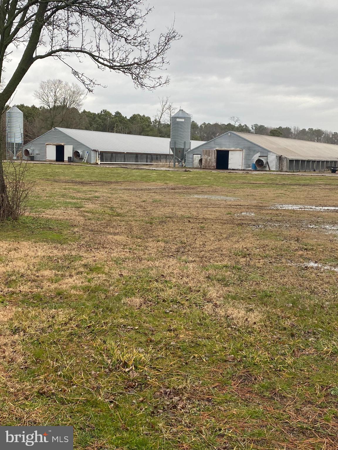 27100 Cash Corner Road Crisfield, MD 21817 - Photo 1 of 57 There are 5 houses this is showing Hs 3 & 2