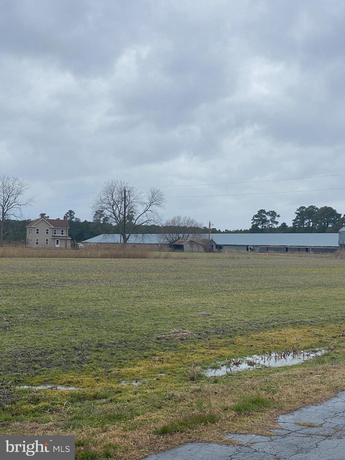 27100 Cash Corner Road Crisfield, MD 21817 - Photo 29 of 57 Gallery Image 29