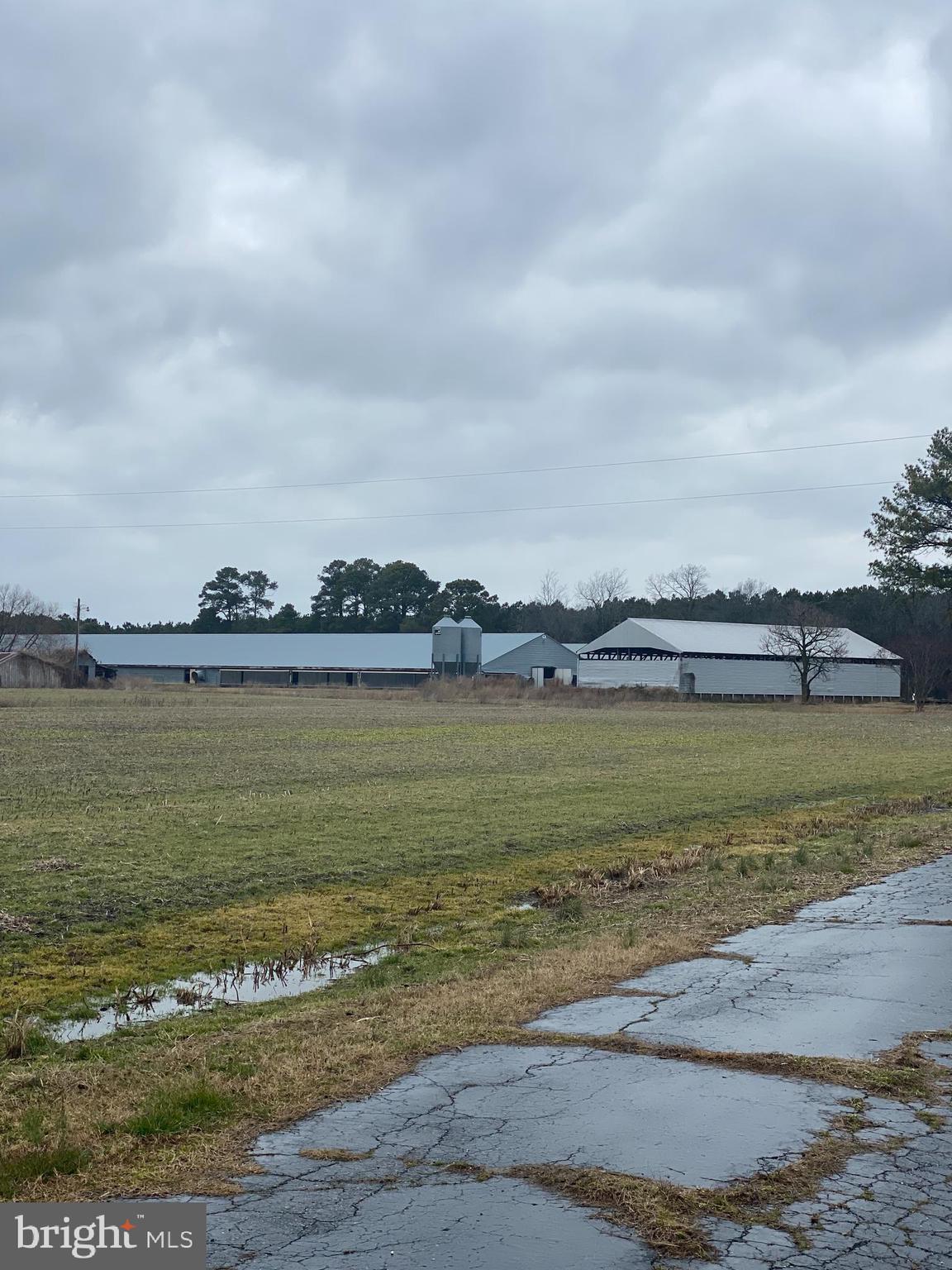 27100 Cash Corner Road Crisfield, MD 21817 - Photo 30 of 57 Gallery Image 30