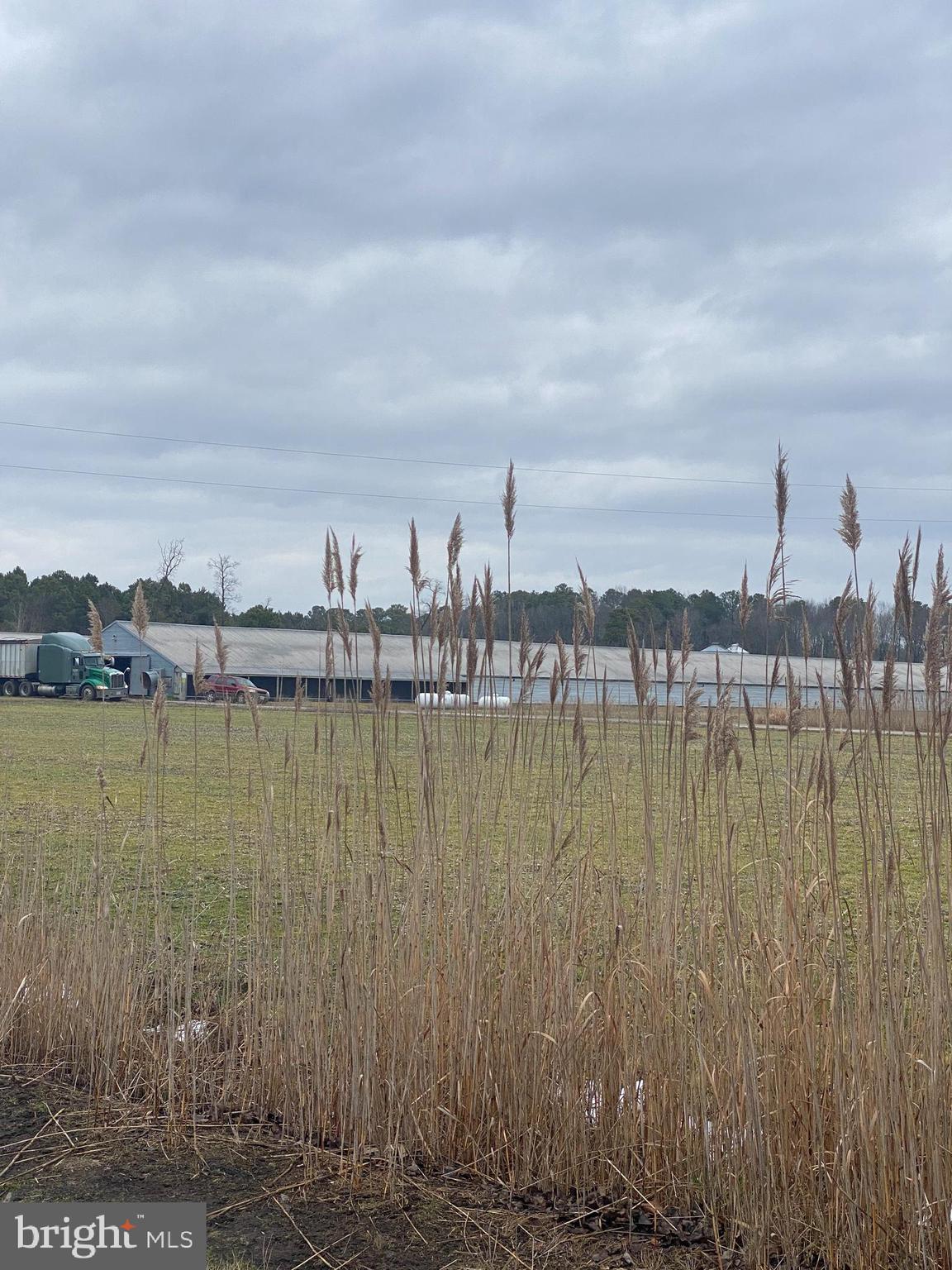27100 Cash Corner Road Crisfield, MD 21817 - Photo 34 of 57 Gallery Image 34