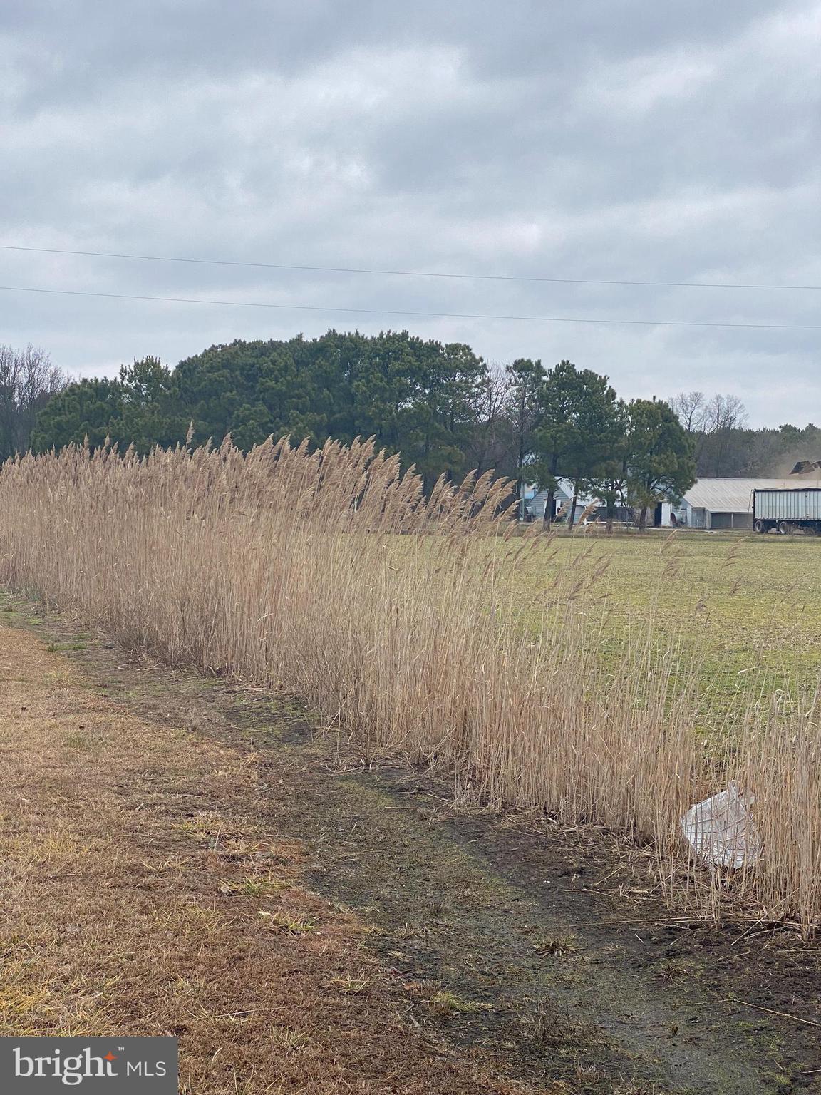 27100 Cash Corner Road Crisfield, MD 21817 - Photo 56 of 57 Gallery Image 56