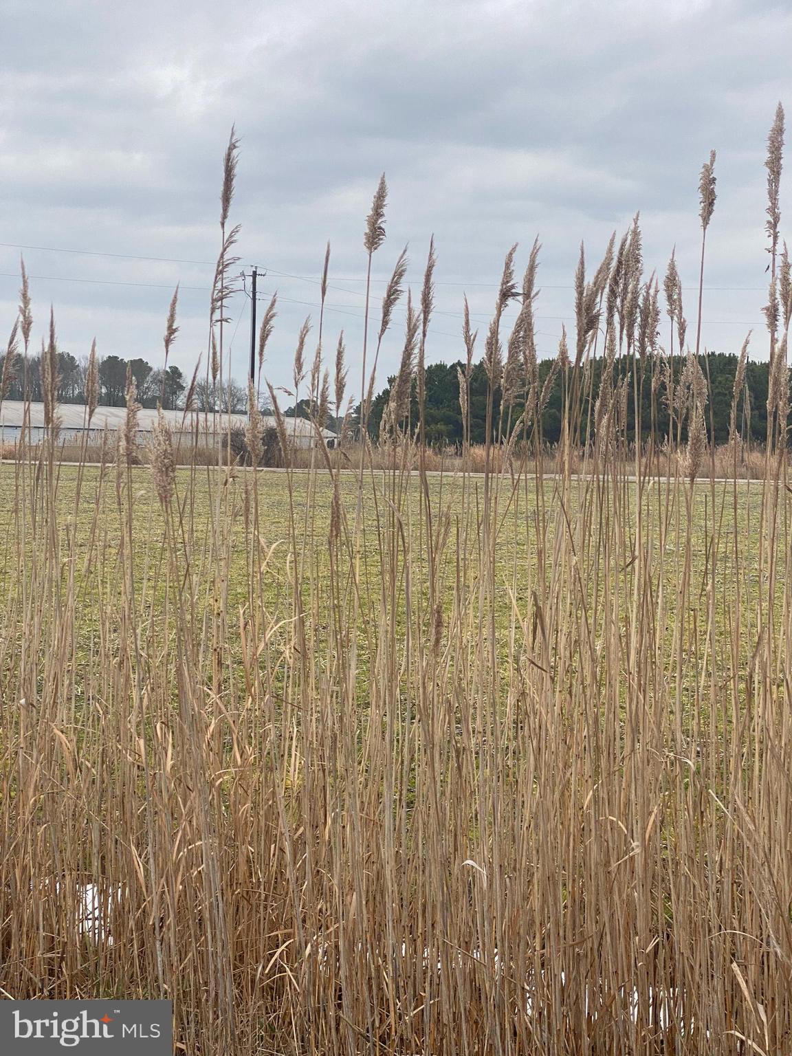 27100 Cash Corner Road Crisfield, MD 21817 - Photo 57 of 57 Parcel 2 addt to farm on road