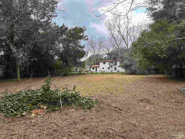 a view of yard with tree in back