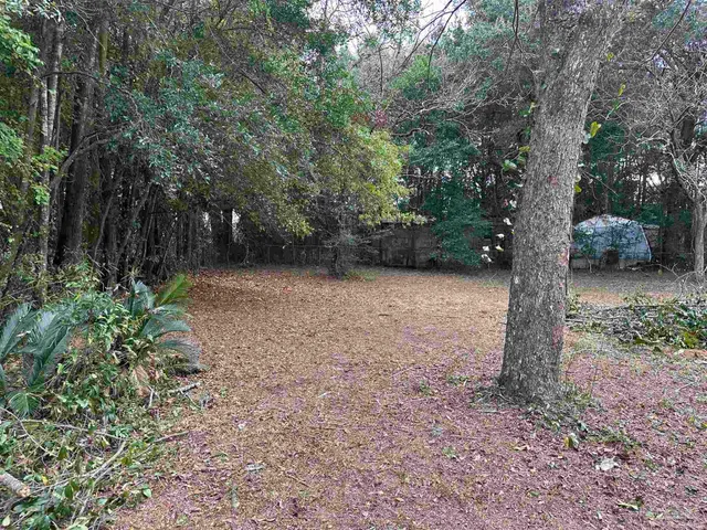 a backyard of a house with lots of green space