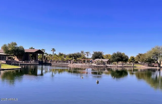 a view of a lake with boats and trees in the background