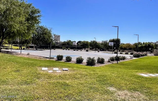 a view of a swimming pool with lawn chairs and plants