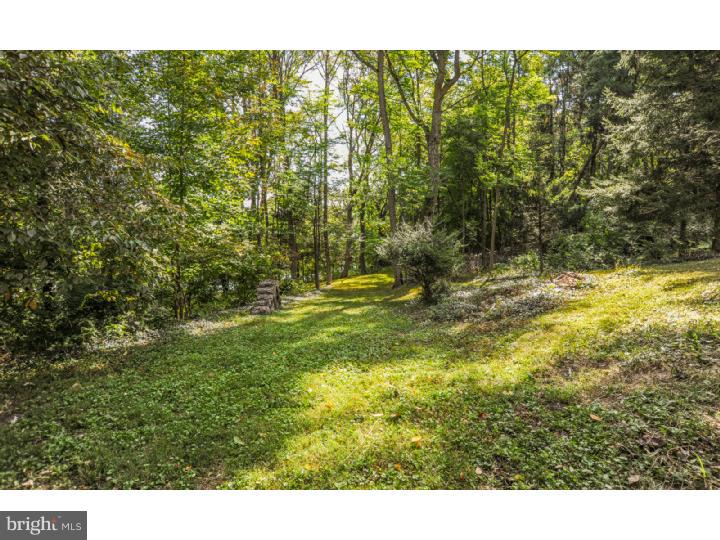 3718 Layfield Road Pennsburg, PA 18073 - Photo 20 of 25 Exterior Back