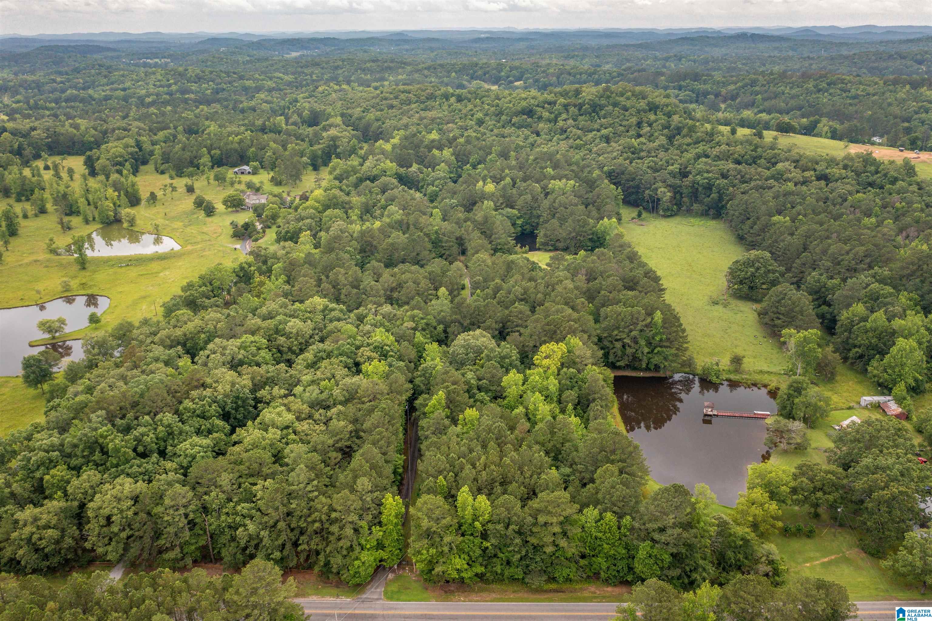 1329 Nisbet Lake Road Jacksonville, AL 36265 - Photo 56 of 60