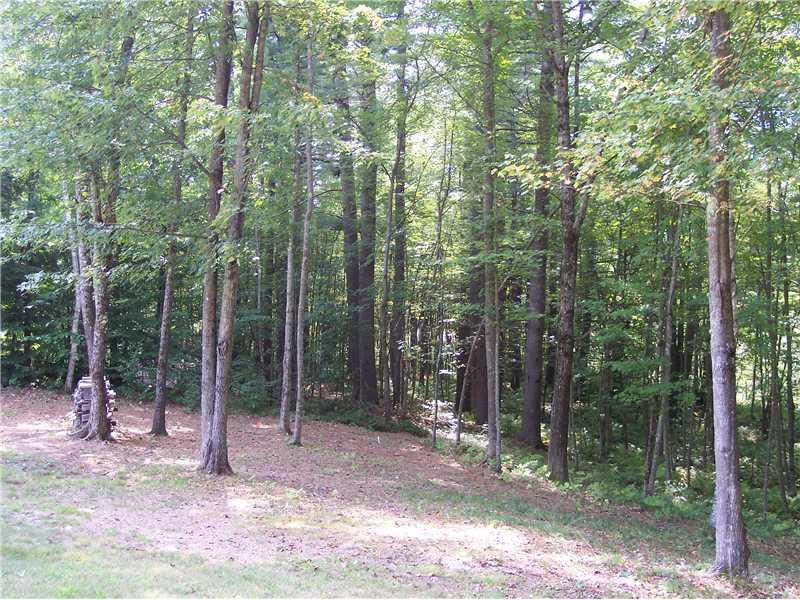 172 Beaver Dam Road Waterboro, ME 04061 - Photo 10 of 34 Exterior Back. Beautiful Back Yard....