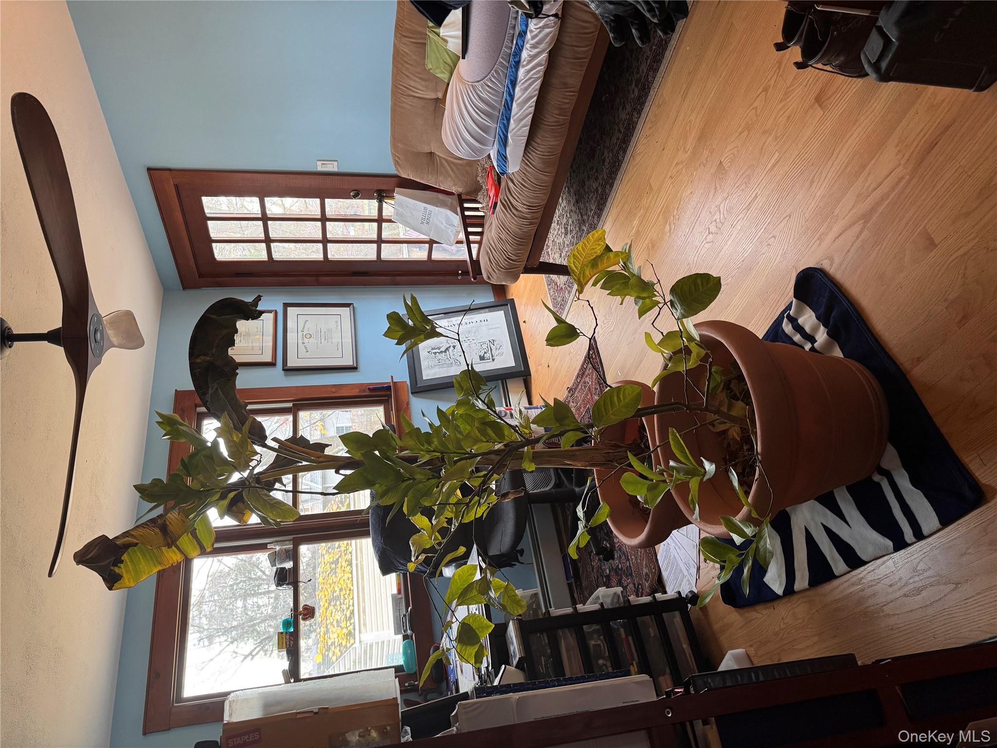 57 Swannekin Road Blauvelt, NY 10913 - Photo 4 of 7 a living room with furniture and a potted plant