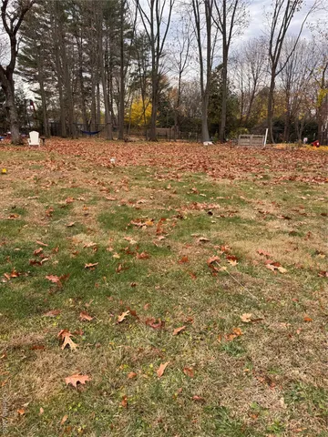 a house view with yard