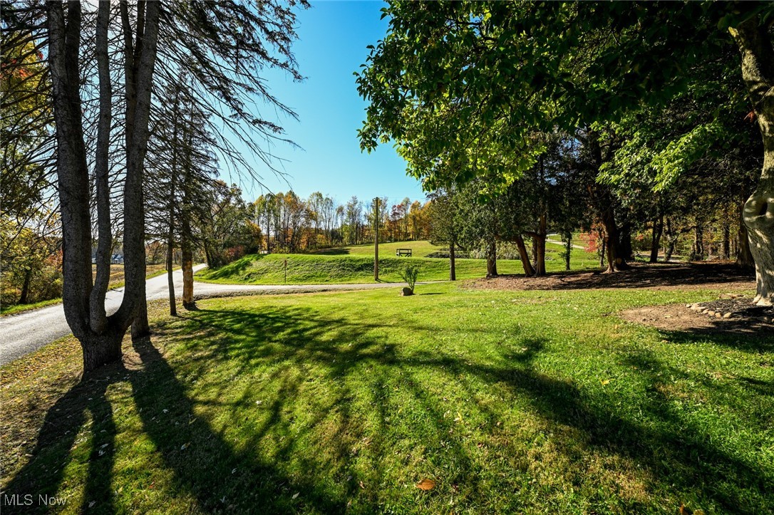 14328 Calaboone Road Doylestown, OH 44230 - Photo 42 of 45 View of property's community with a lawn and view of scattered trees