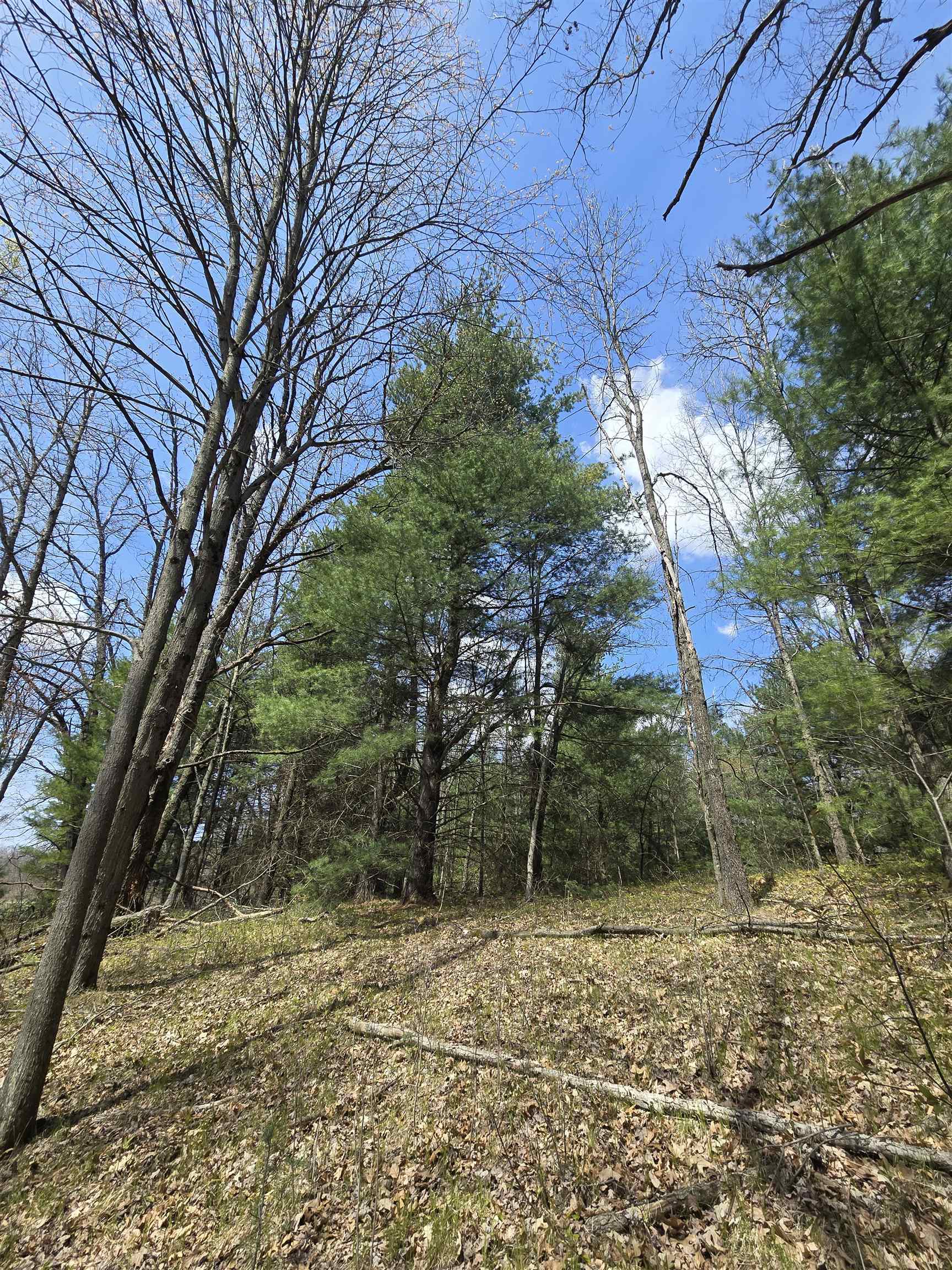 Tbd East Baseline Road White Cloud, MI 49349 - Photo 2 of 5