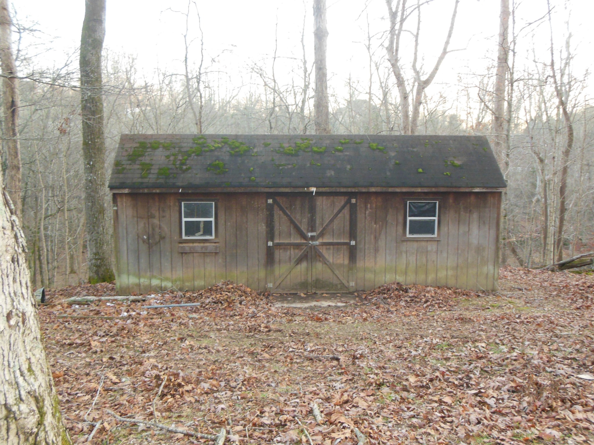 6407 New Cut Road Springfield, TN 37172 - Photo 18 of 20 Gallery Image 18