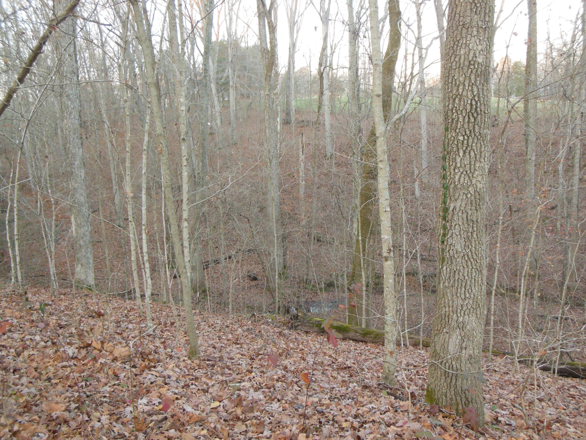 6407 New Cut Road Springfield, TN 37172 - Photo 20 of 20 Gallery Image 20