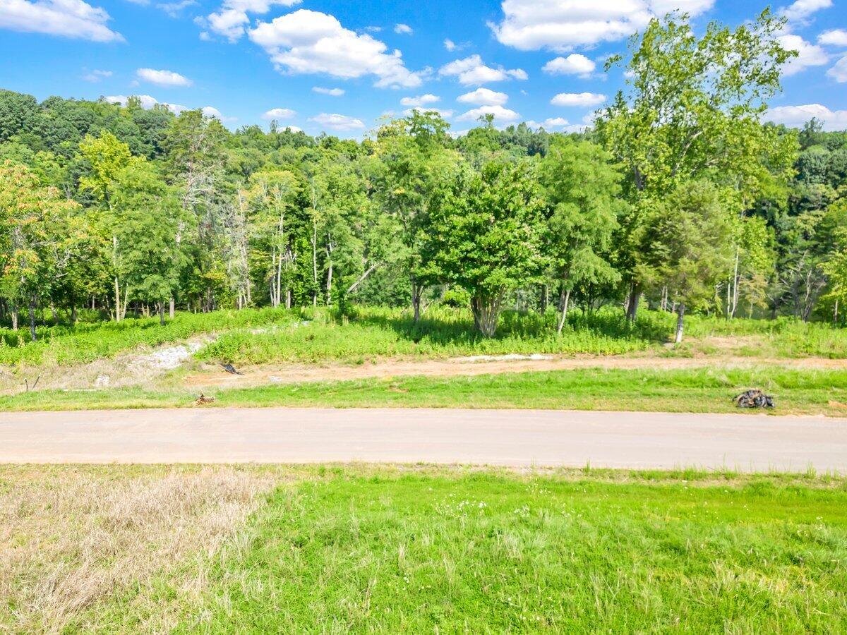 Lot 10 Springsteen Circle Hardy, VA 24101 - Photo 12 of 17 DJI_0003