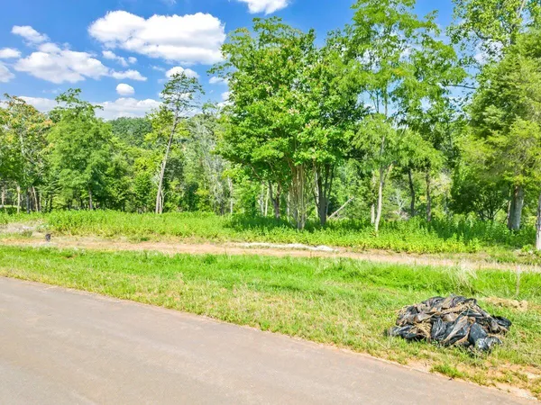 $395,000 | Lot 10 Springsteen Circle, Hardy, VA 24101