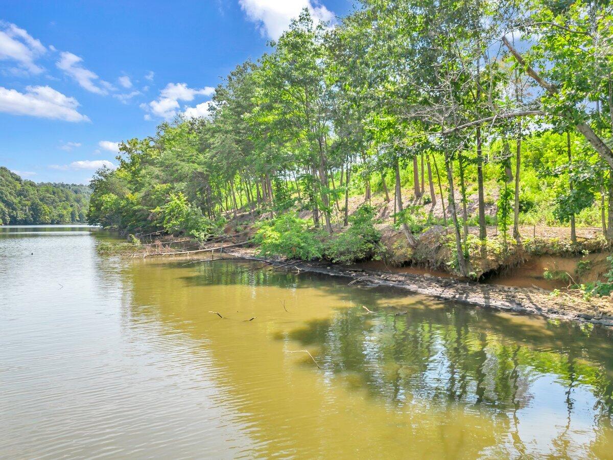 Lot 10 Springsteen Circle Hardy, VA 24101 - Photo 6 of 17 DJI_0027