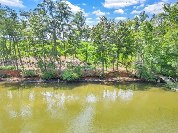 $395,000 | Lot 10 Springsteen Circle, Hardy, VA 24101