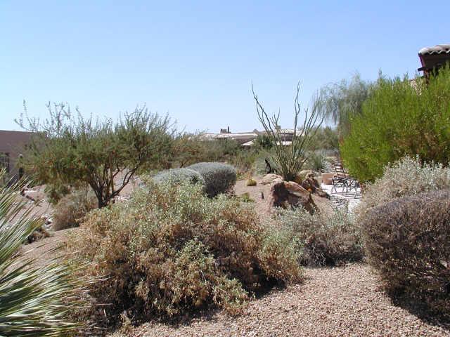 27431 North Granite Mountain Road Rio Verde, AZ 85263 - Photo 4 of 5 Additional Photo