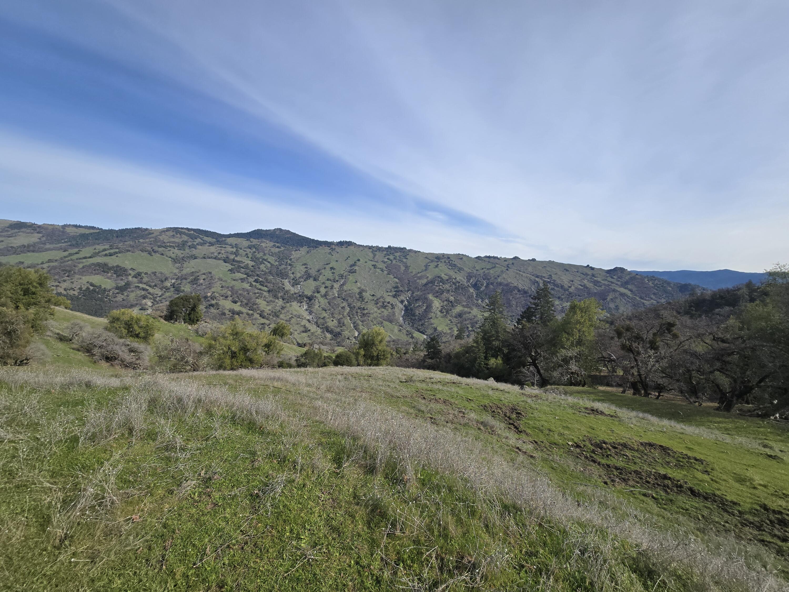 3461 Raff Crk Road Garberville, CA 95542 - Photo 4 of 32