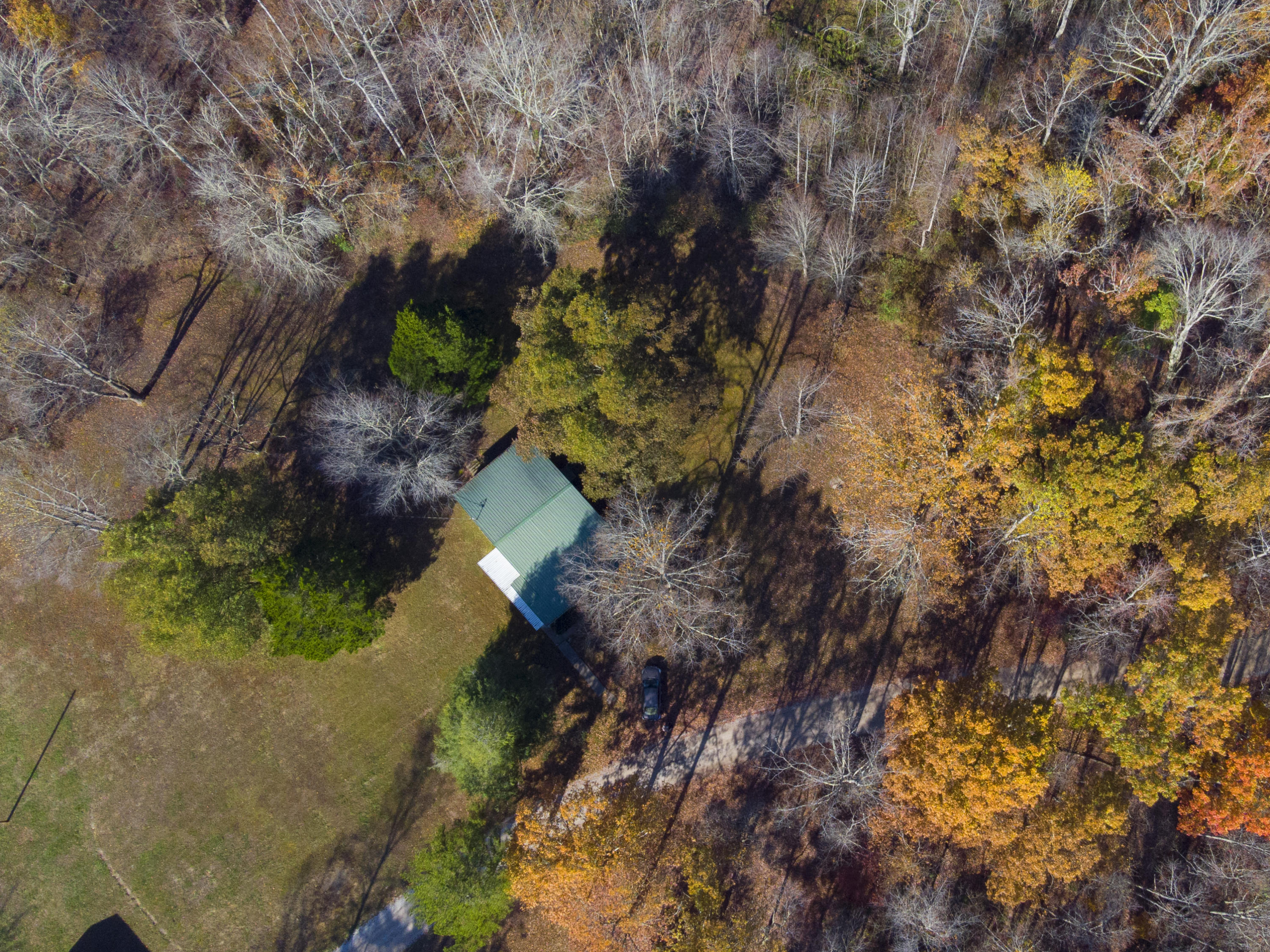157 Davis Road Sunbright, TN 37872 - Photo 2 of 26 157 Davis Road