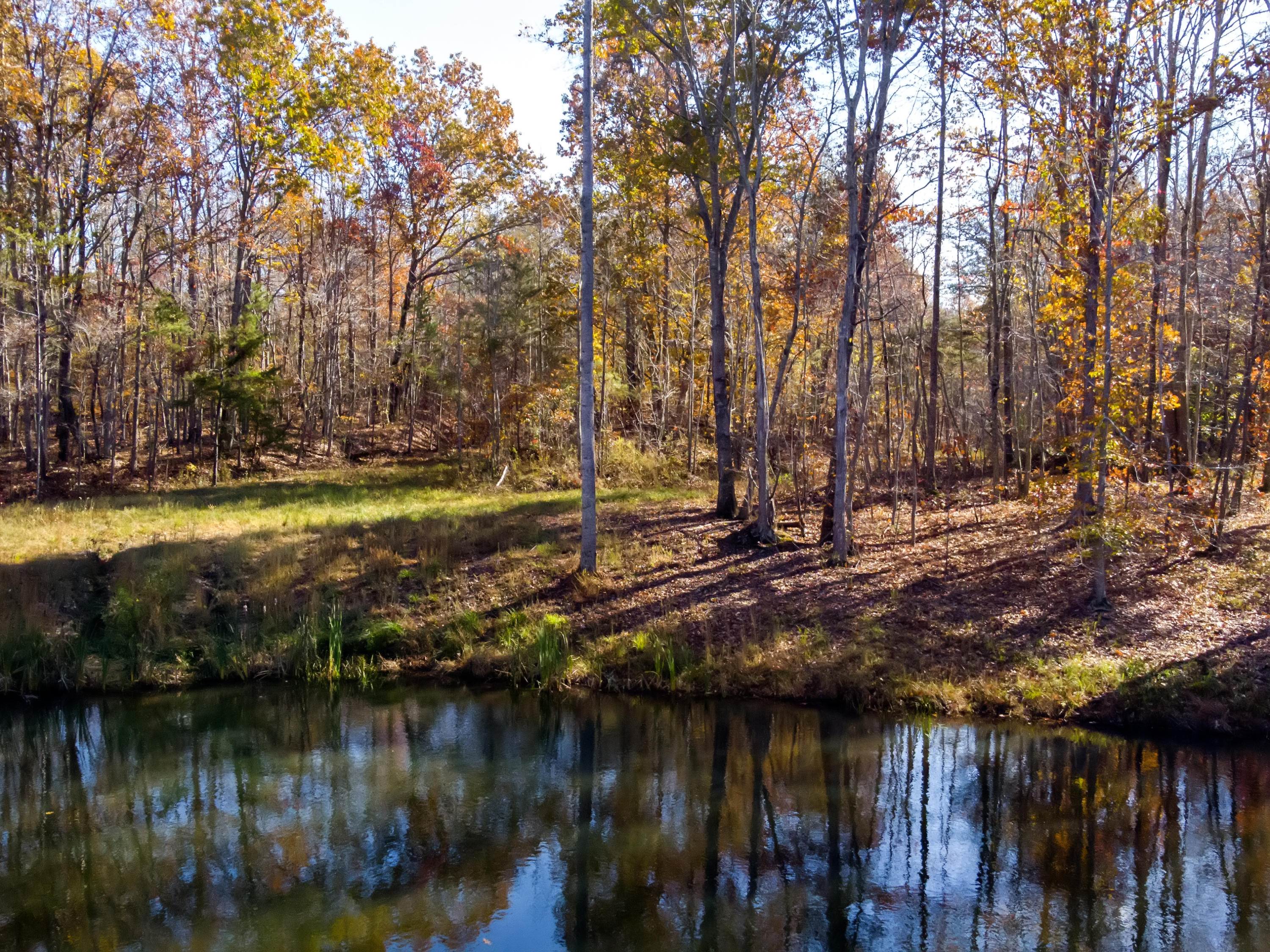 157 Davis Road Sunbright, TN 37872 - Photo 24 of 26 157 Davis Road