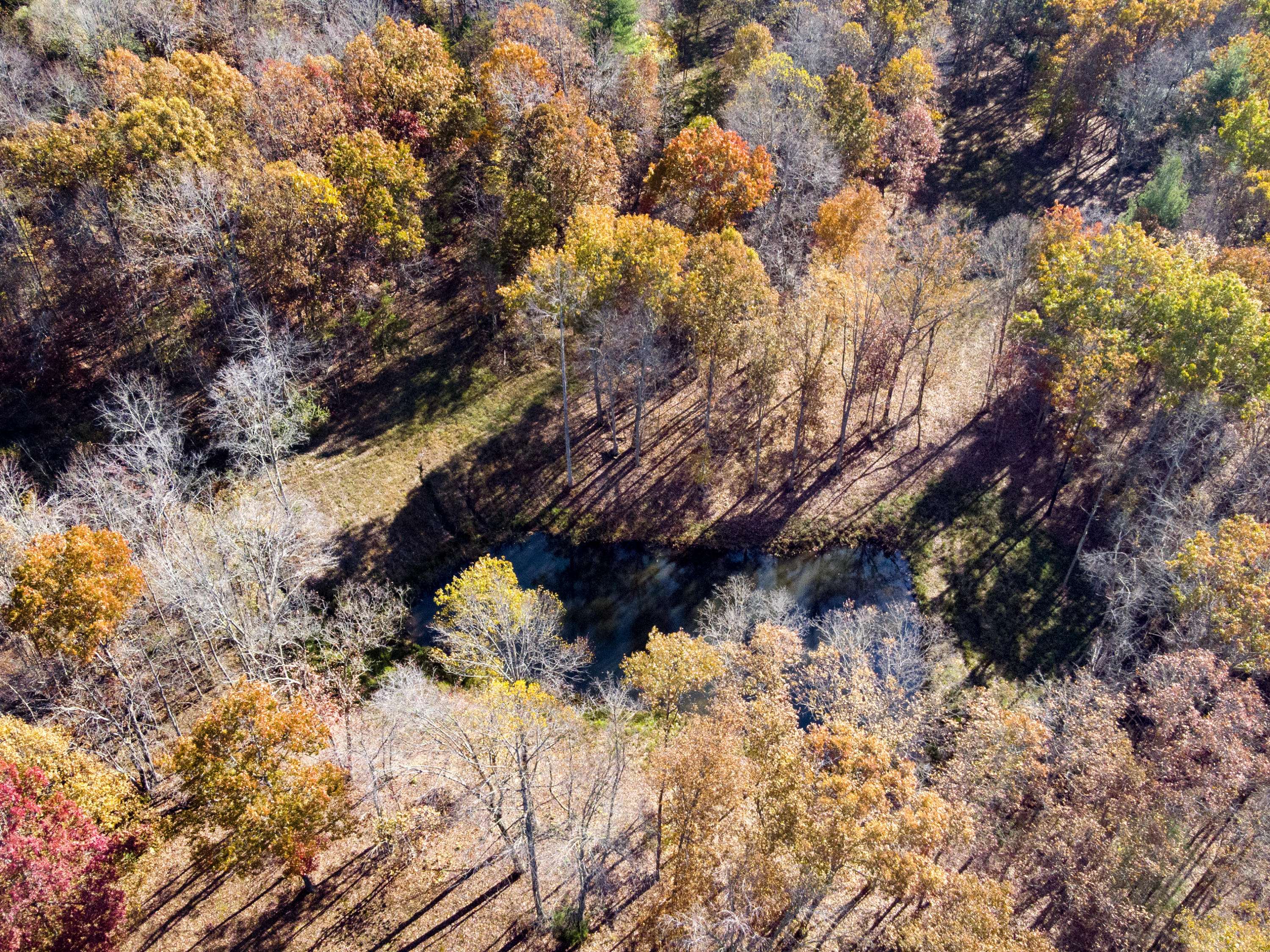 157 Davis Road Sunbright, TN 37872 - Photo 25 of 26 157 Davis Road