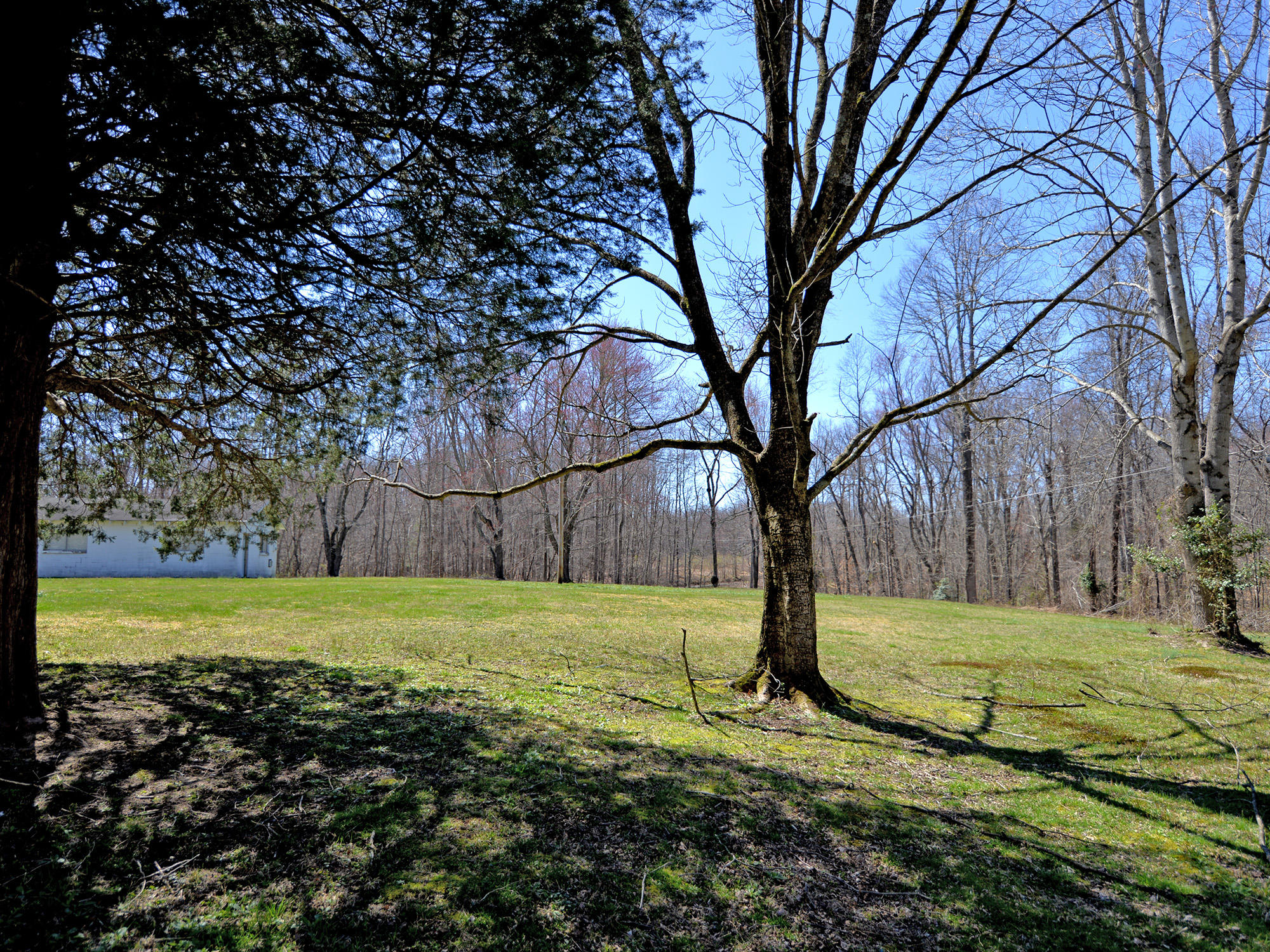 157 Davis Road Sunbright, TN 37872 - Photo 8 of 26 157 Davis Road