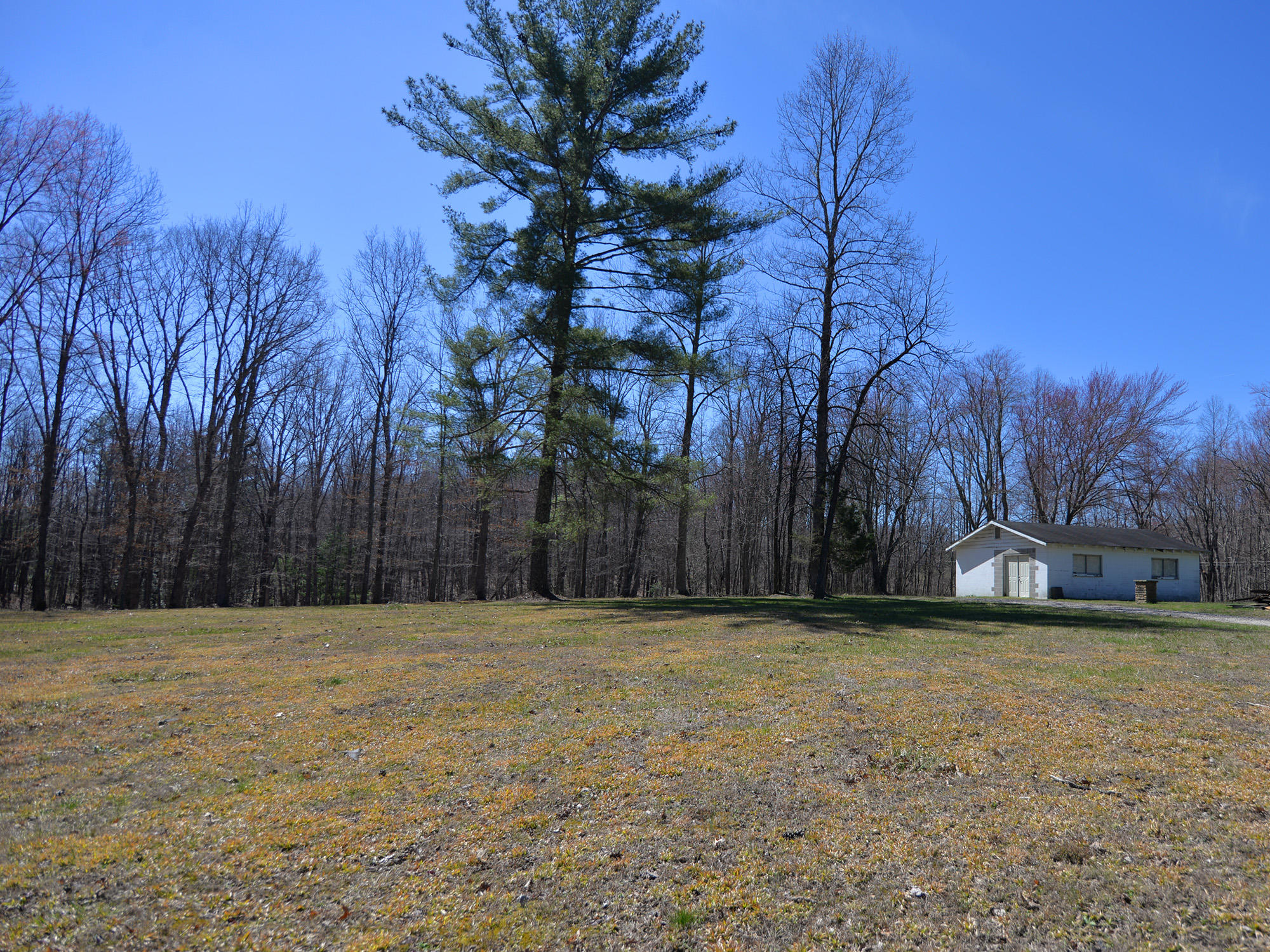 157 Davis Road Sunbright, TN 37872 - Photo 9 of 26 157 Davis Road