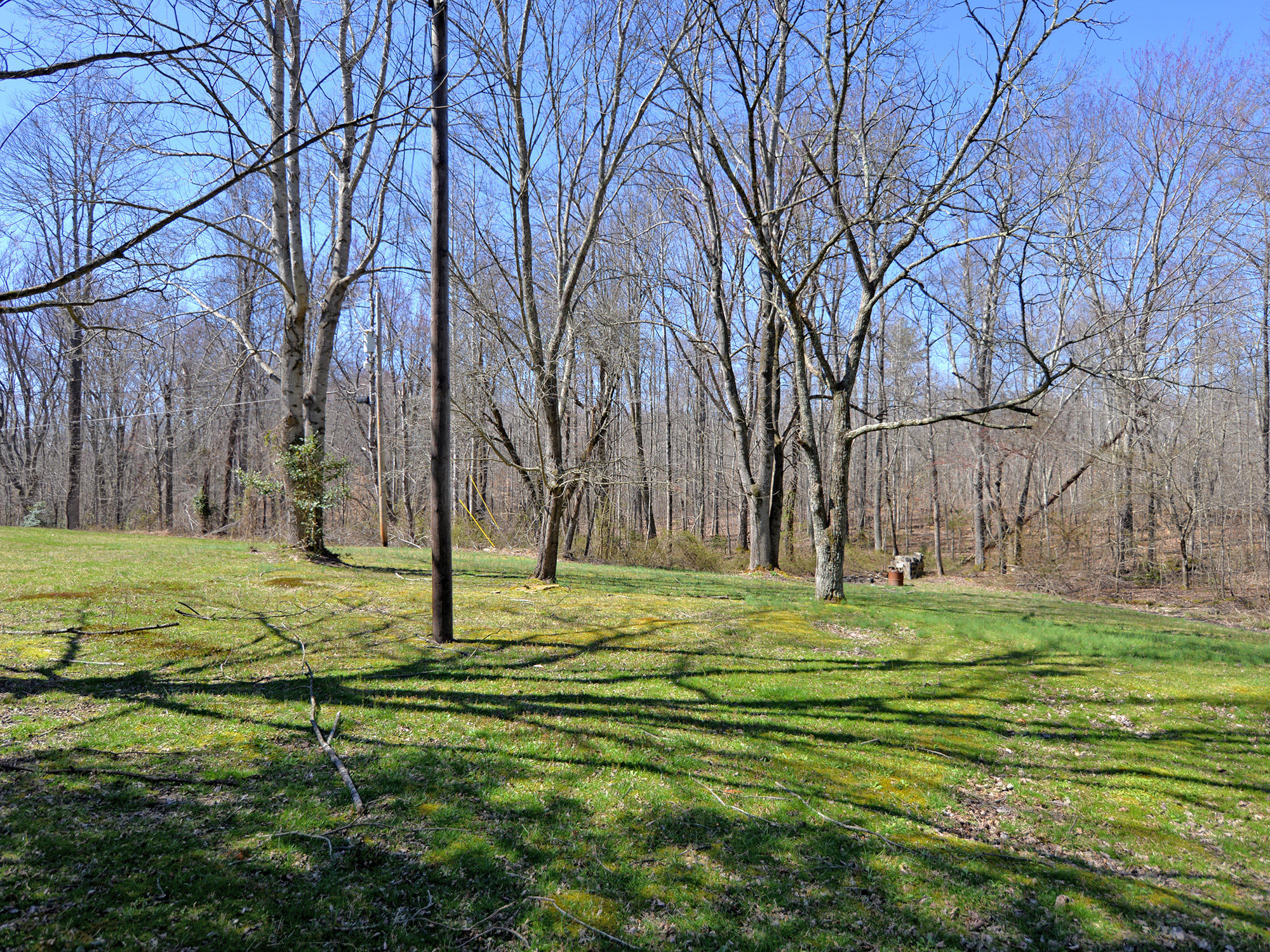 157 Davis Road Sunbright, TN 37872 - Photo 10 of 26 157 Davis Road