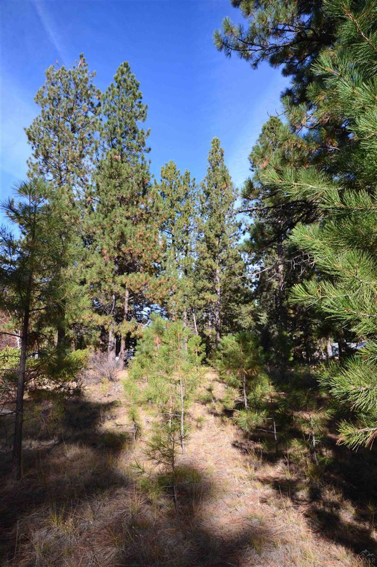 19063 Baker Road Bend, OR 97702 - Photo 4 of 25 a view of a yard
