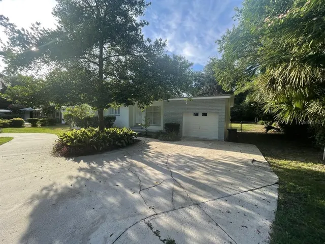 a view of a backyard with large trees
