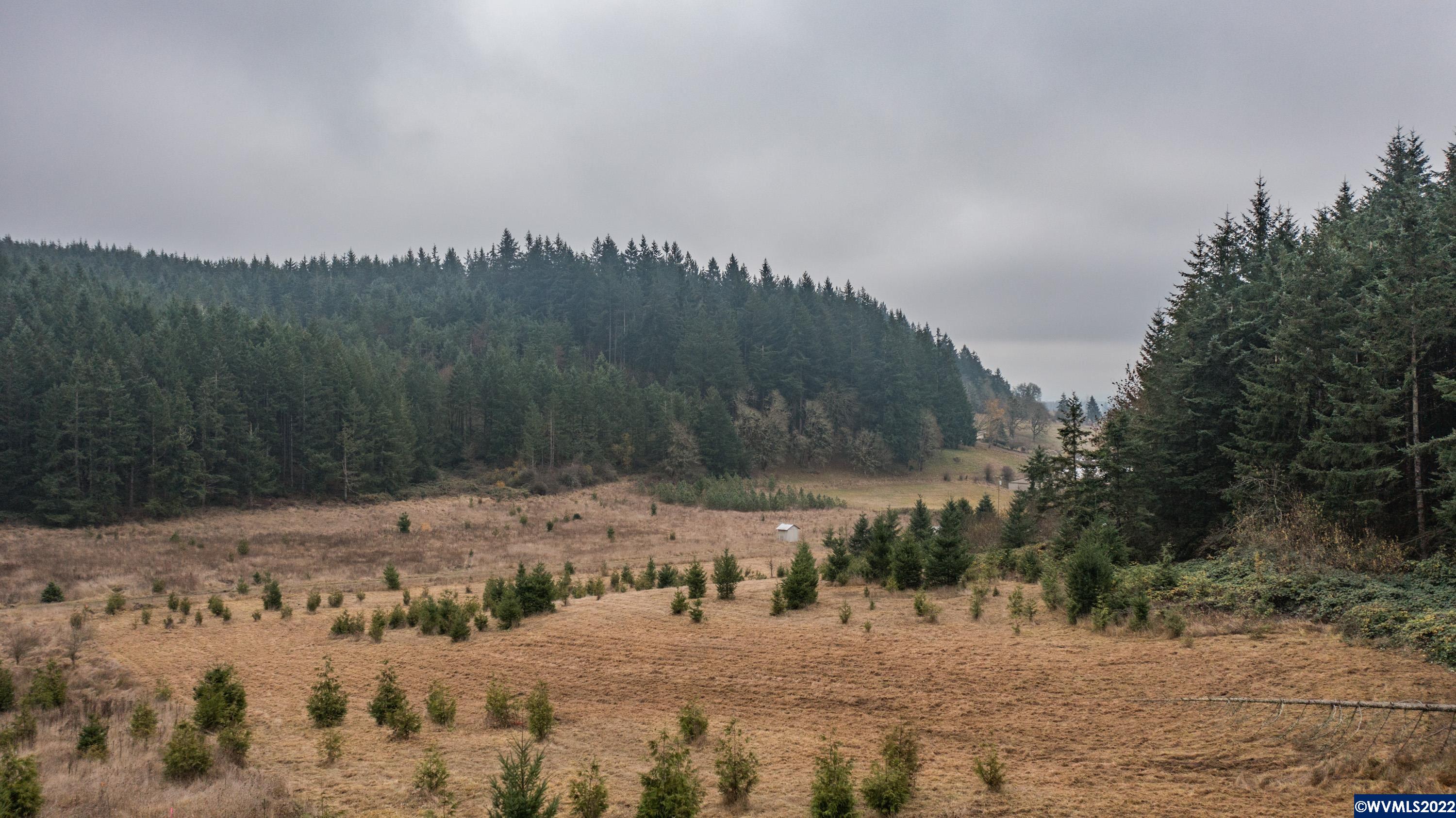 38613 Hungry Hill Road Scio, OR 97374 - Photo 3 of 16