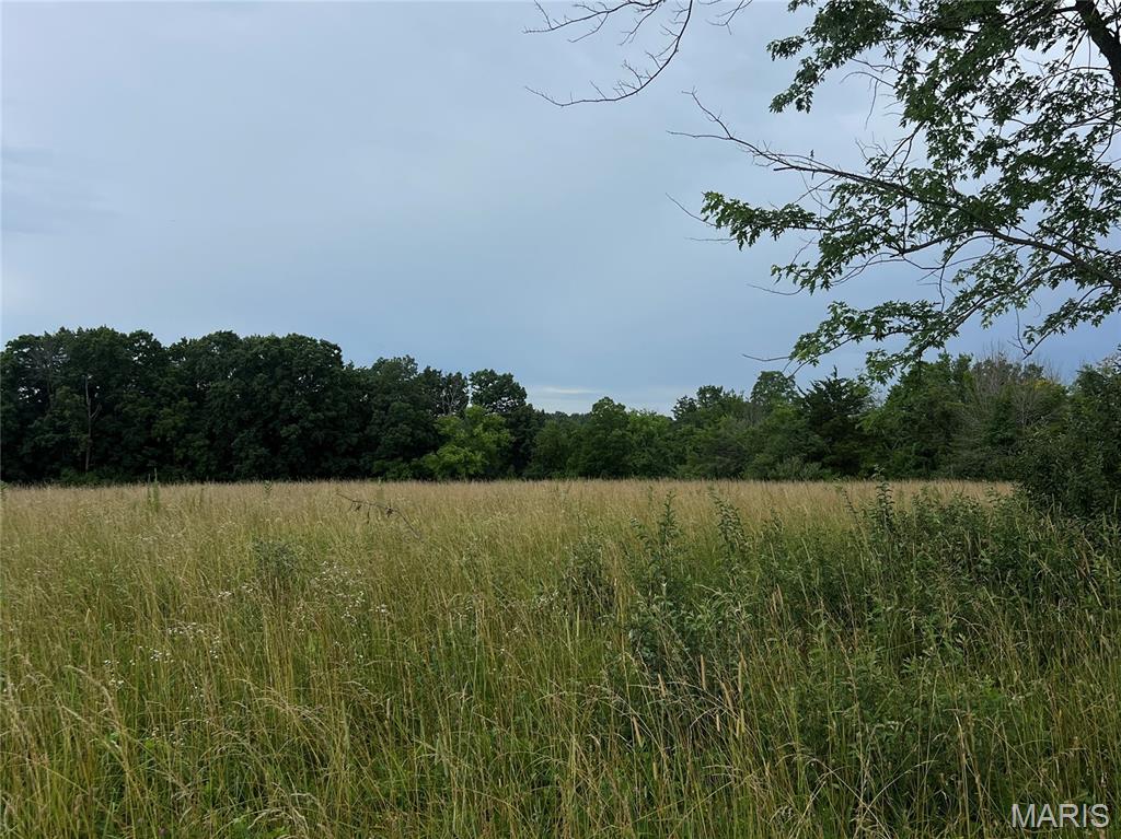 0 Blue Bird Hill Lane Foley, MO 63347 - Photo 4 of 5
