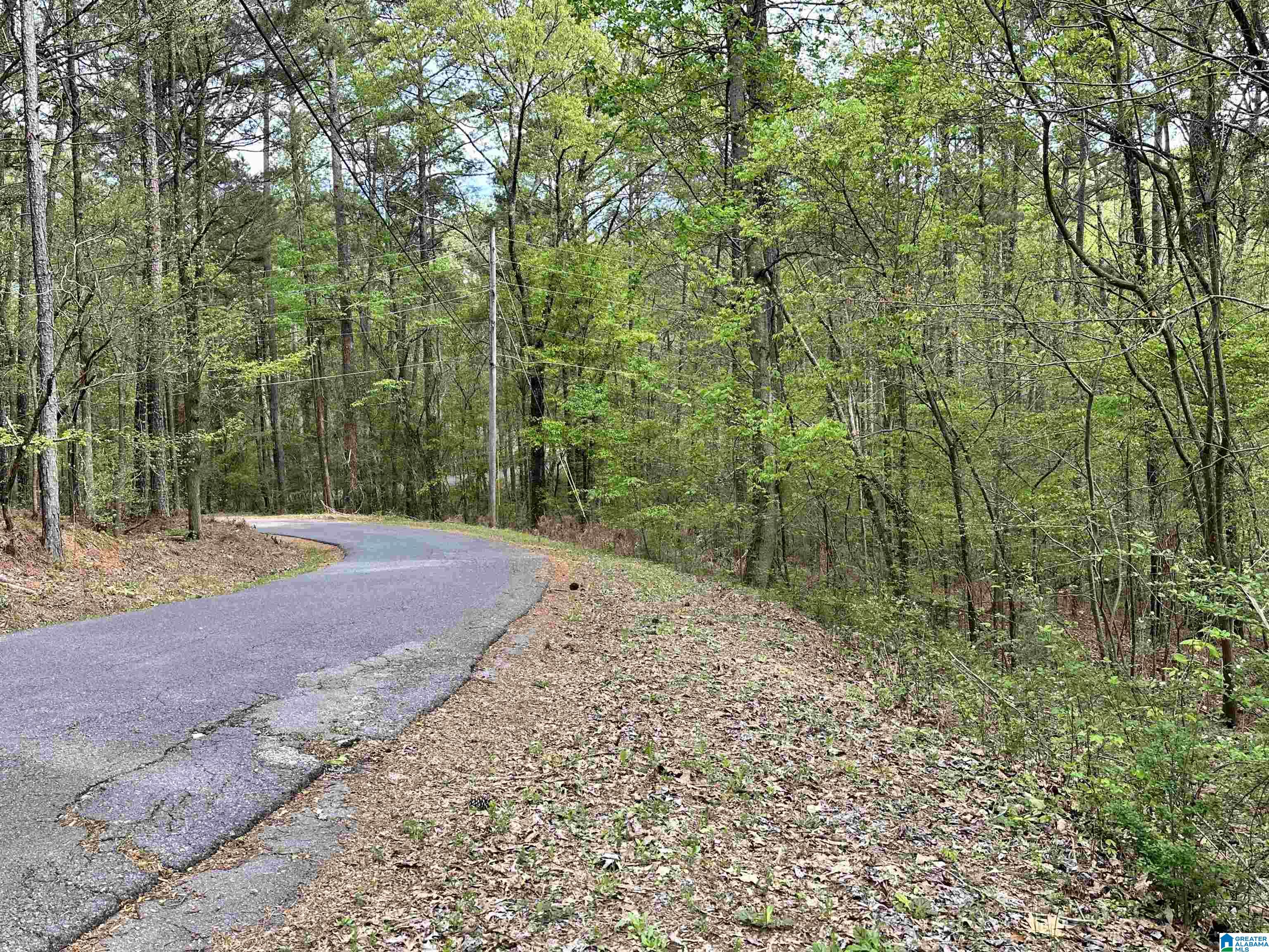 Lakeview Drive, Unit 53 Alpine, AL 35014 - Photo 10 of 35