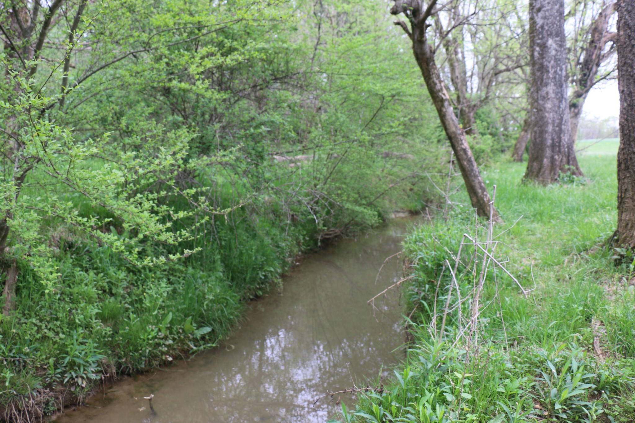 606 Campground Road Madisonville, TN 37354 - Photo 6 of 9